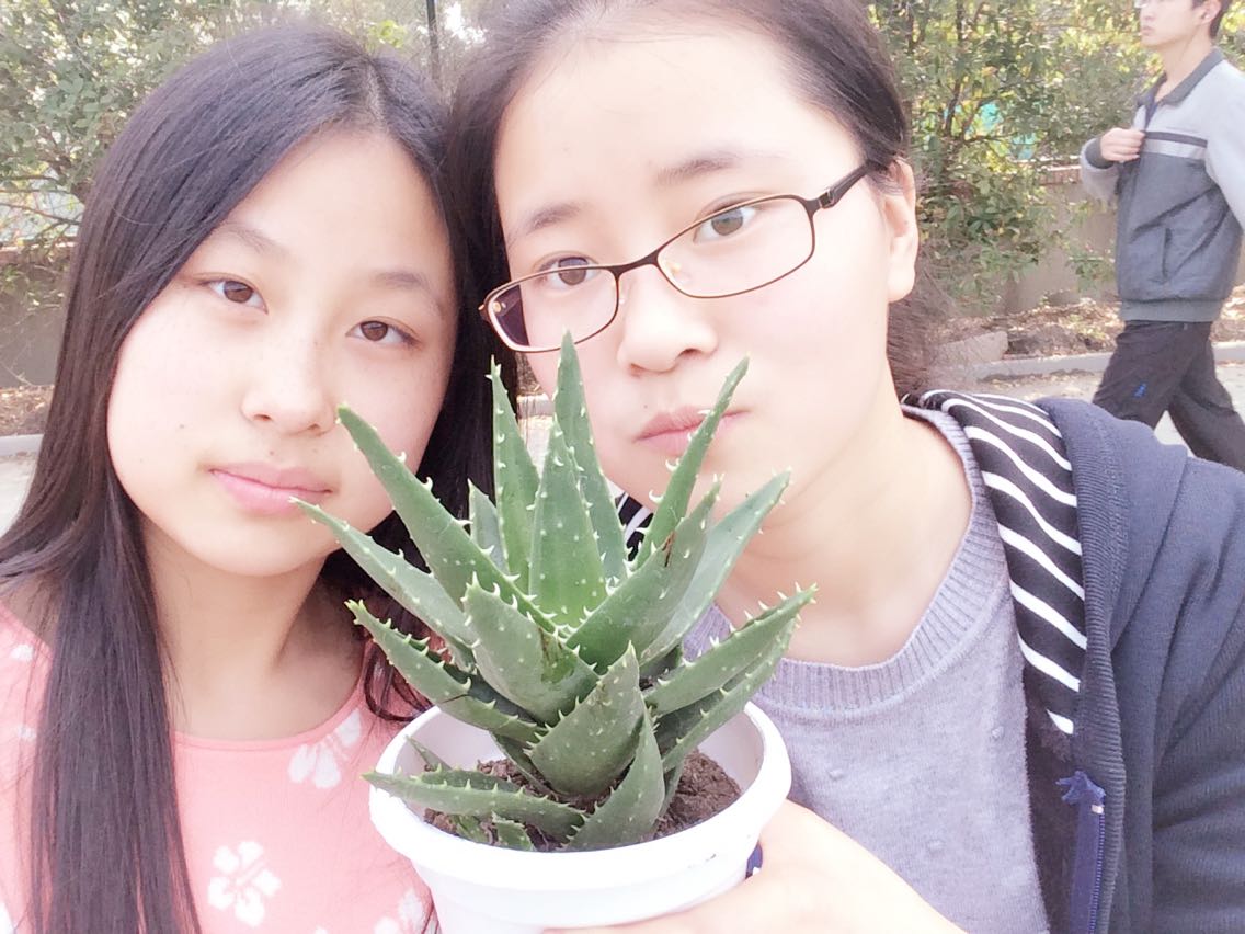 苏大家教吧_李教员_200122